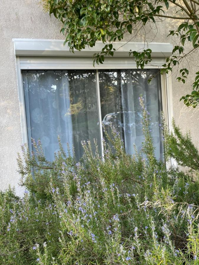 Mas Des Tournevents Bed and Breakfast Lézignan-Corbières Εξωτερικό φωτογραφία