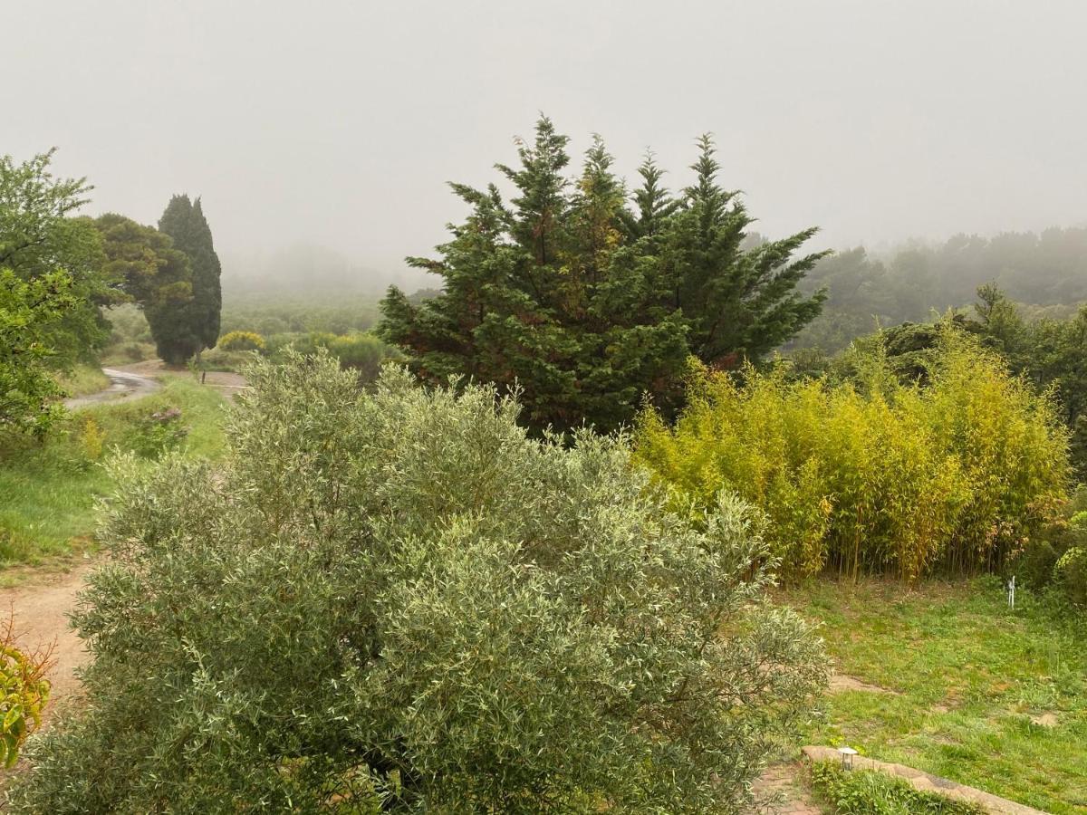 Mas Des Tournevents Bed and Breakfast Lézignan-Corbières Εξωτερικό φωτογραφία