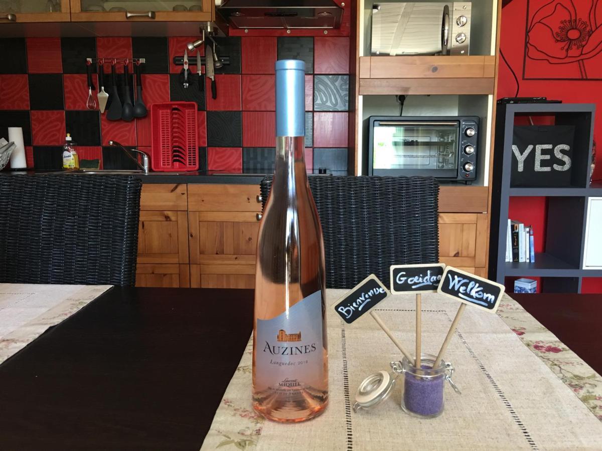 Mas Des Tournevents Bed and Breakfast Lézignan-Corbières Εξωτερικό φωτογραφία