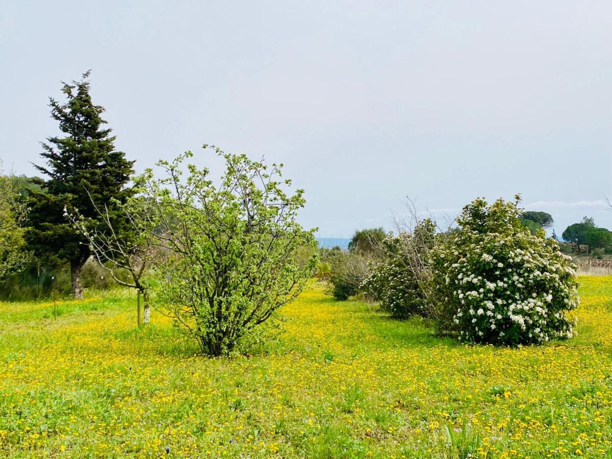 Mas Des Tournevents Bed and Breakfast Lézignan-Corbières Εξωτερικό φωτογραφία