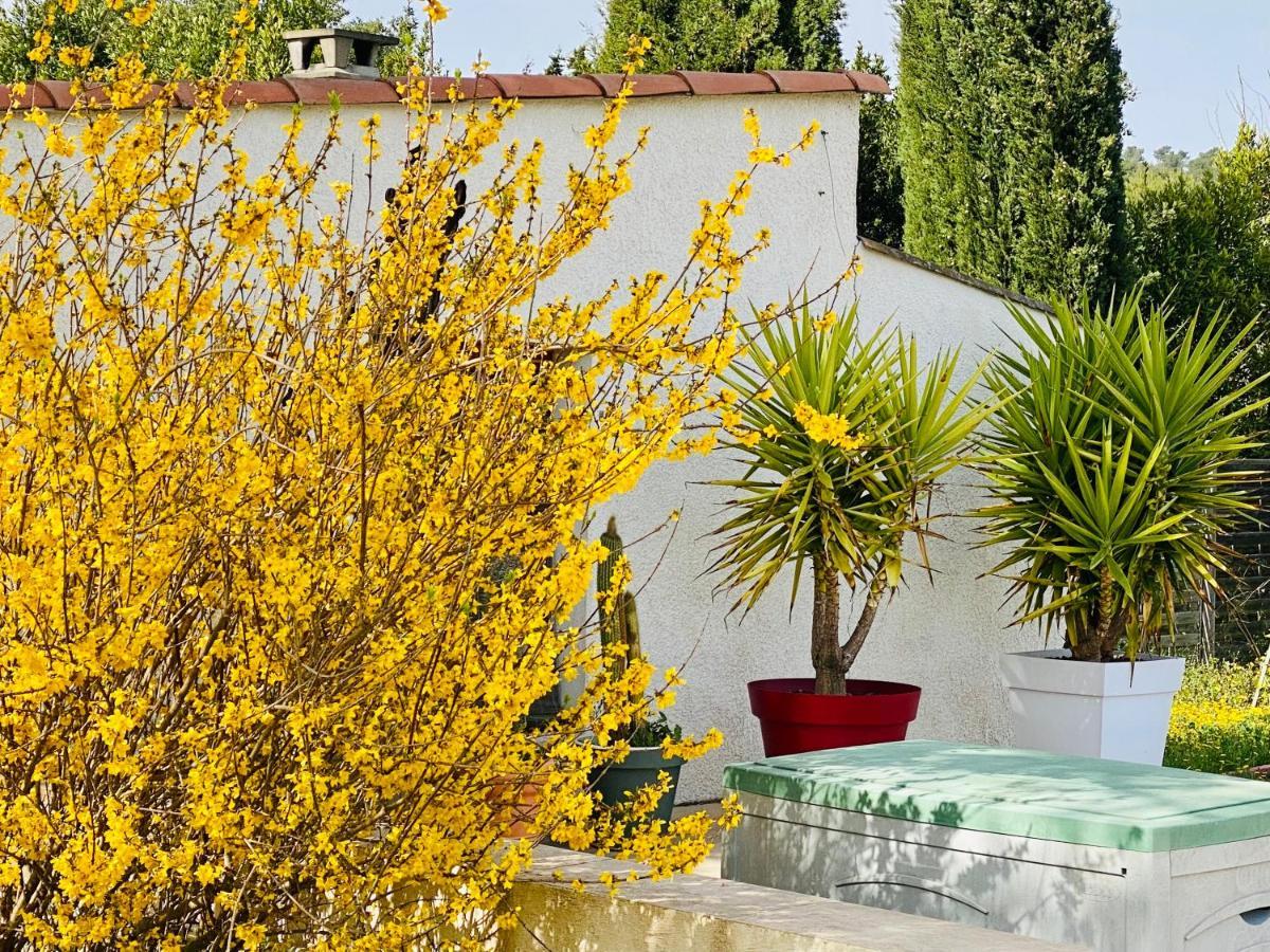 Mas Des Tournevents Bed and Breakfast Lézignan-Corbières Εξωτερικό φωτογραφία