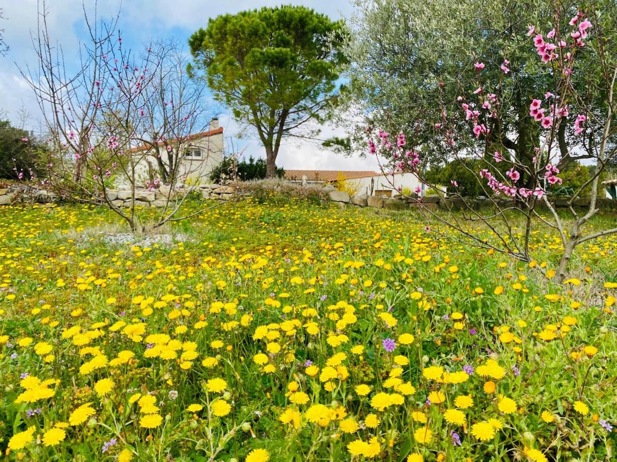 Mas Des Tournevents Bed and Breakfast Lézignan-Corbières Εξωτερικό φωτογραφία